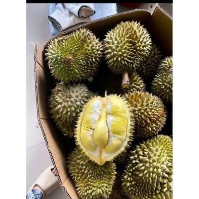 Sầu Riêng Ri6 Cơm Vàng Hạt Lép Khay 500g #9